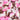 Salt Water Taffy Neopolitan 200g (USA)
