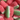 Freeze Dried Chunky Sour Watermelon Slices