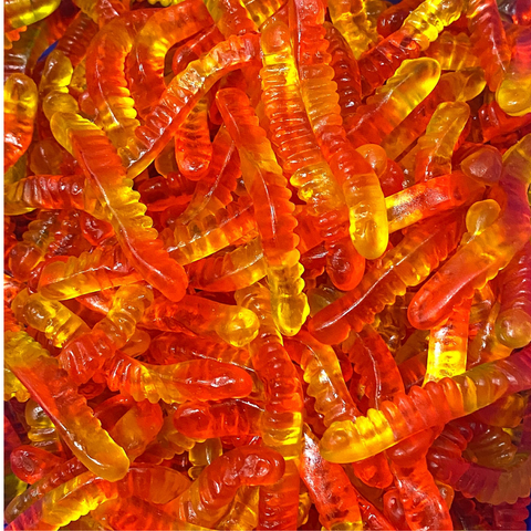 Gummy Worms 100g