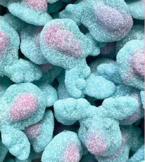 Fizzy Moose 100g (Swedish)