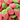Giant Sweet Strawberries 100g