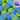 Jelly Filled Blue Raspberries 100g
