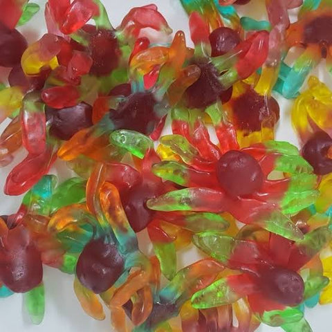 Octopus 100g